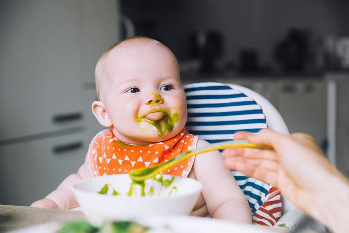 CÓMO COMENZAR LA ALIMENTACION COMPLEMENTARIA